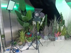 -LESSMORE科技头皮理容中心