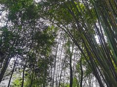 -中铁花水湾四季温泉谷