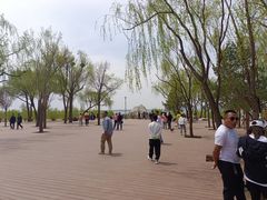 -红碱淖景区