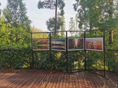 -黄海国家森林公园