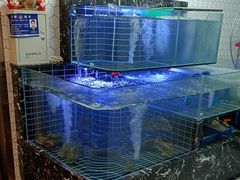 -再回头私房菜·老南京菜