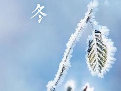 -闯关东东北农家菜(崂山石老人店)