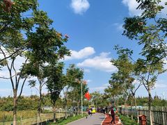 -上海长兴岛郊野公园