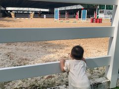 -名驭国际马术学院