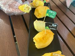 -榴莲BB 四季果园