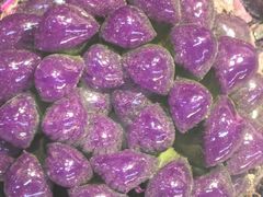 -花鸟鱼虫鲜花绿植市场(玉泉路店)