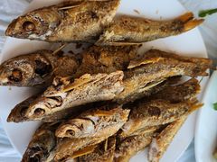 -庆岭迎宾园正宗活鱼馆