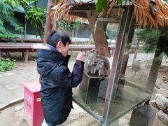 -呀路古热带植物园