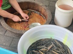 -铜元老码头鳝鱼火锅