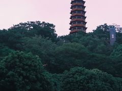 -红花山公园