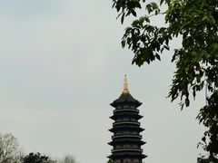 -重庆园博园