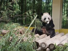 -杭州野生动物世界