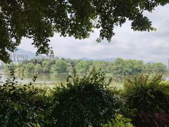 -飞来湖湿地公园