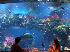 -迪拜帆船酒店海底餐厅