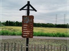 -广富林郊野公园