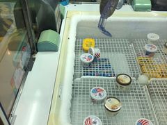 -星悦蓝海欢乐园(石路天虹店)