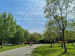 -上海海湾国家森林公园