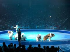 -珠海横琴长隆《卡卡虎奇遇记》