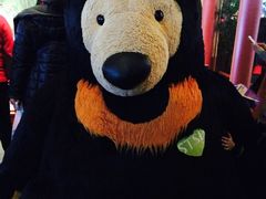 -济州岛泰迪熊博物馆