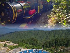 -九龙江国家森林公园