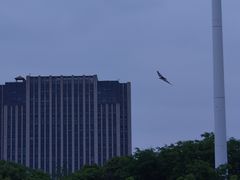 -智慧湾科创园