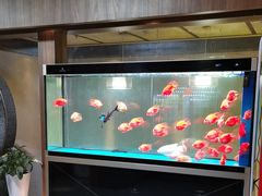 -臻享养生·SPA·影院式足道(汇臻店)