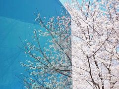 -龙美术馆西岸馆-停车场