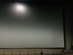 -天幕新彩云国际影城(激光巨幕店)