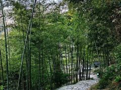 -丹山赤水风景名胜区