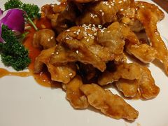 -新侨小馆(东直门北小街店)