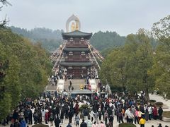 -庐山风景名胜区-东林大佛