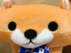 -LLJ夹机占(正佳广场店)