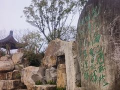 -江心屿景区