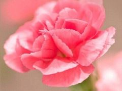 -亦庄创意生活广场