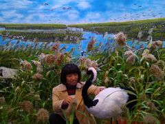 -盐城丹顶鹤湿地生态旅游区