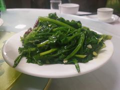 炝炒蒲公英-周鱼鳅饭店