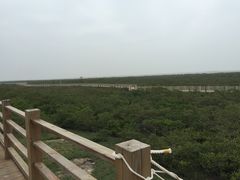 景点-北海金海湾红树林生态旅游区