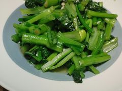 -鸽子窝(宋庄店)