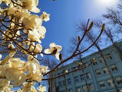 -北京信息科技大学(小营校区)