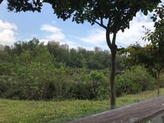 -大亚湾红树林城市湿地公园