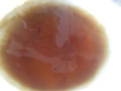 -芙蓉树下冒菜·麻辣烫(农院店)