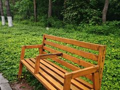 -黑龙江省森林植物园