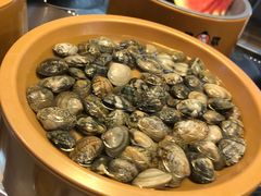 -龍歌自助小火锅(李沧丽达店)