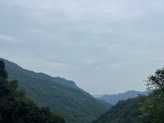 -龙窝子