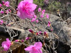 -野三坡百草畔景区