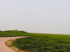 -鄱阳湖国家湿地公园
