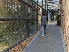-清雅臻品·竹林院落·新派青岛菜(崂山店)