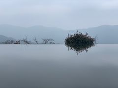 -江南天池