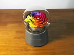 -ROSEONLY诺誓(沈阳万象城店)