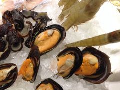 iphone_upload_pic-四季捞